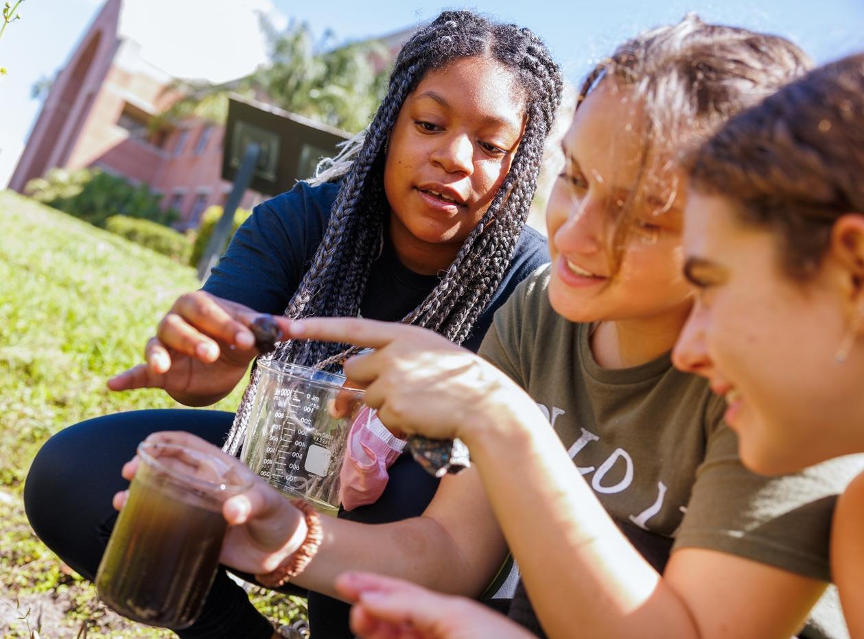 Environmental Science and Sustainable Technology